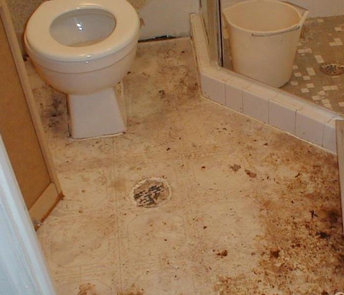 Toliet with sewage backup in a bathroom.