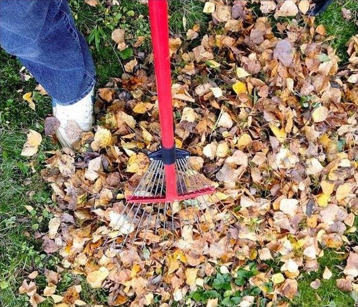 A rake in a pile of leaves. 